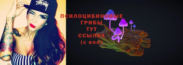 a pvp Абаза