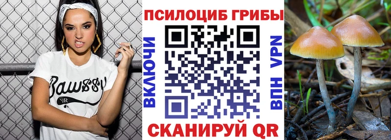 Псилоцибиновые грибы мухоморы  купить наркоту  Тобольск 